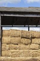 Straw stacks, close up photo