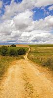 country road without asphalt photo