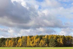 naturaleza en temporada de otoño foto