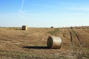 stack of wheat straw photo