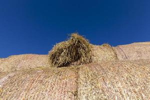 stacked straw, close up photo