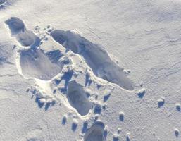 road footprints, close up photo