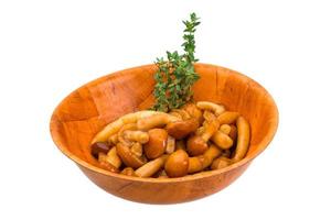 Armillaria in a bowl on white background photo