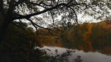 panorámica sobre el pequeño lago de hjortedam, lyngby, copenhague, dinamarca, en un día lluvioso de otoño, material de archivo de brian holm nielsen video