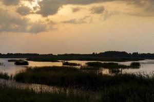 lake with plants during sunset, reflection in the lake photo