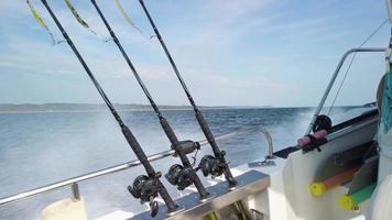 ami da pesca su canne da pesca al rallentatore video