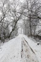 un camino cubierto de nieve en la temporada de invierno foto