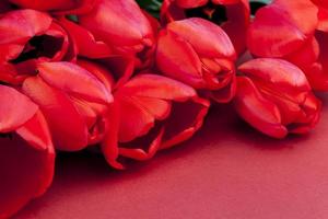 red tulips with bright petals in a bouquet photo