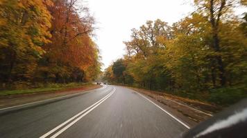 conduite sur une belle route forestière d'automne pluvieuse, séquence vidéo de brian holm nielsen 4 video