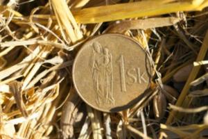 stack of straw in the field photo