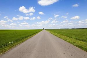 camino en un campo foto