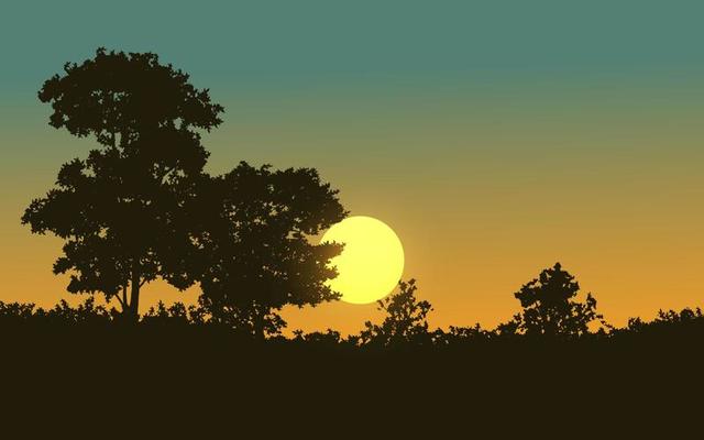 Nature landscape silhouette. Sundown in forest