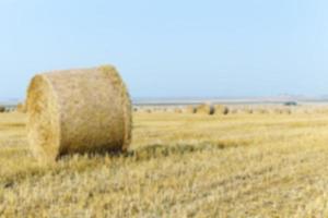 stack of straw in the field photo