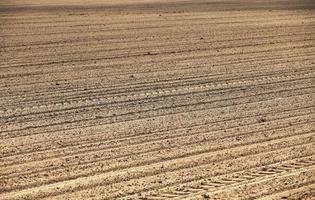 campo agricola vacio foto