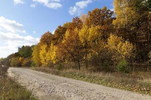 road in the autumn season photo