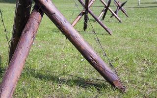 Hedgehog with barbed wire photo