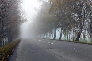 carretera asfaltada, otoño foto