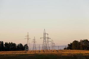 power poles in the field photo