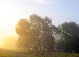 autumn landscape sun rays photo