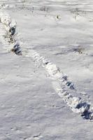 Footprints of a man photo
