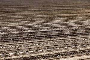 plowed land. close-up photo