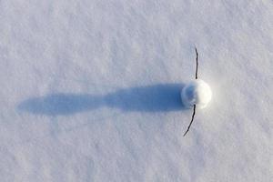 snowmen made of snow in winter photo