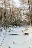 frozen water in the river during frosts photo