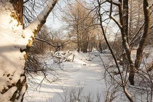 snow and ice covered grass photo