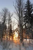 sunset with orange shades in the winter season photo