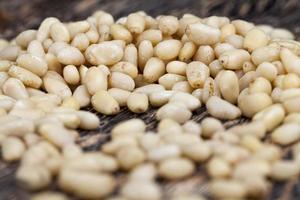 peeled pine nuts of small size photo