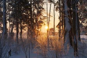 sunset with orange shades in the winter season photo