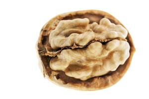 isolated on white walnuts photo