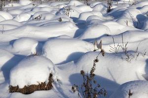 covered soil and grass with a thick layer of snow after a cyclone photo