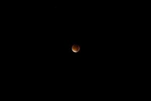 bloody red moon photo