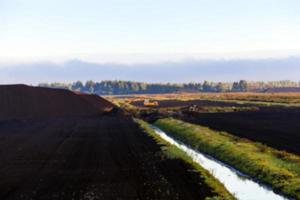 extraction of peat photo