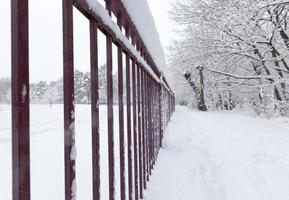simple metal fence in winter photo
