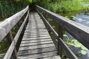 old wooden bridge built on the lake photo