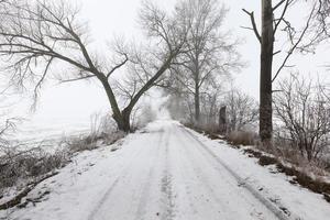 the road is covered with snow in the winter season photo