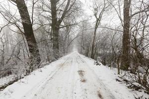 un camino cubierto de nieve en la temporada de invierno foto