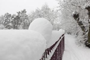 simple metal fence in winter photo