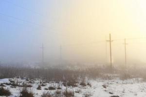 electric poles in the winter season, installed in the field photo