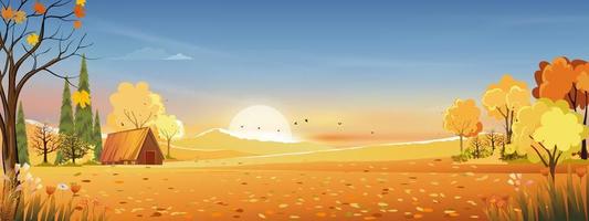 Autumn rural landscape in evening light with sunset, blue and orange sky background,Vector Cartoon fall season at countryside with forest tree and grass field with sunrise,Backdrop natural banner vector