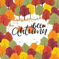 tarjetas de felicitación e invitaciones de acción de gracias, hola juego de tarjetas de otoño de árbol forestal con hojas multicolores cayendo en el suelo, banner de fondo de ilustración vecyor temporada de otoño con hojas multicolores vector