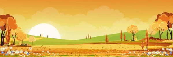 paisaje rural otoñal a la luz de la noche con puesta de sol, amarillo, fondo de cielo naranja, temporada de otoño de dibujos animados vectoriales pano en el campo con árboles forestales y campo de hierba con amanecer, banner natural de fondo vector