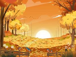 Autumn landscape wonderland forest with grass land, Mid autumn natural in orange foliage, Fall season with beautiful panoramic view with sunset behind mountain and maples leaves falling from trees vector