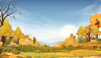 paisaje rural otoñal a la luz de la noche con puesta de sol, fondo azul y rosa del cielo, temporada de otoño de dibujos animados vectoriales en el campo con árboles forestales y campo de hierba con amanecer, pancarta de fondo para otoño vector