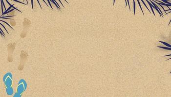 Sand Beach Texture background with Palm leaf shadow and Footprints of human feet, Vector illustration Backdrop Brown Beach sand dune with barefoot and sandal for Summer banner background.