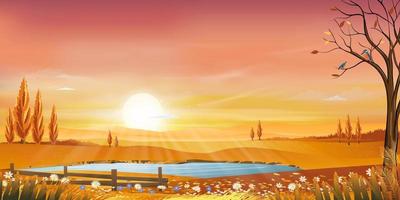 paisaje rural otoñal a la luz de la noche con puesta de sol, amarillo, rosa, fondo de cielo naranja, temporada de otoño de dibujos animados vectoriales en el campo con árboles forestales y campo de hierba con amanecer, banner natural de fondo