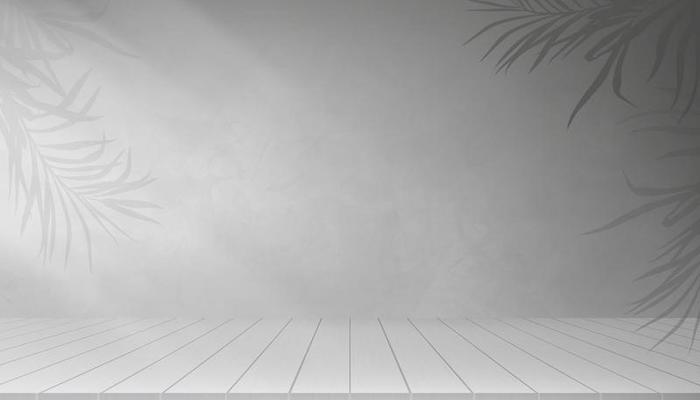 Studio room with light and shade on Grey cement tacture background, Vector 3D Backdrop Gray Concrete with palm leave on wall room and wooden floor surface,Banner background for loft design concept