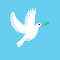 white dove flying with a branch in its beak vector